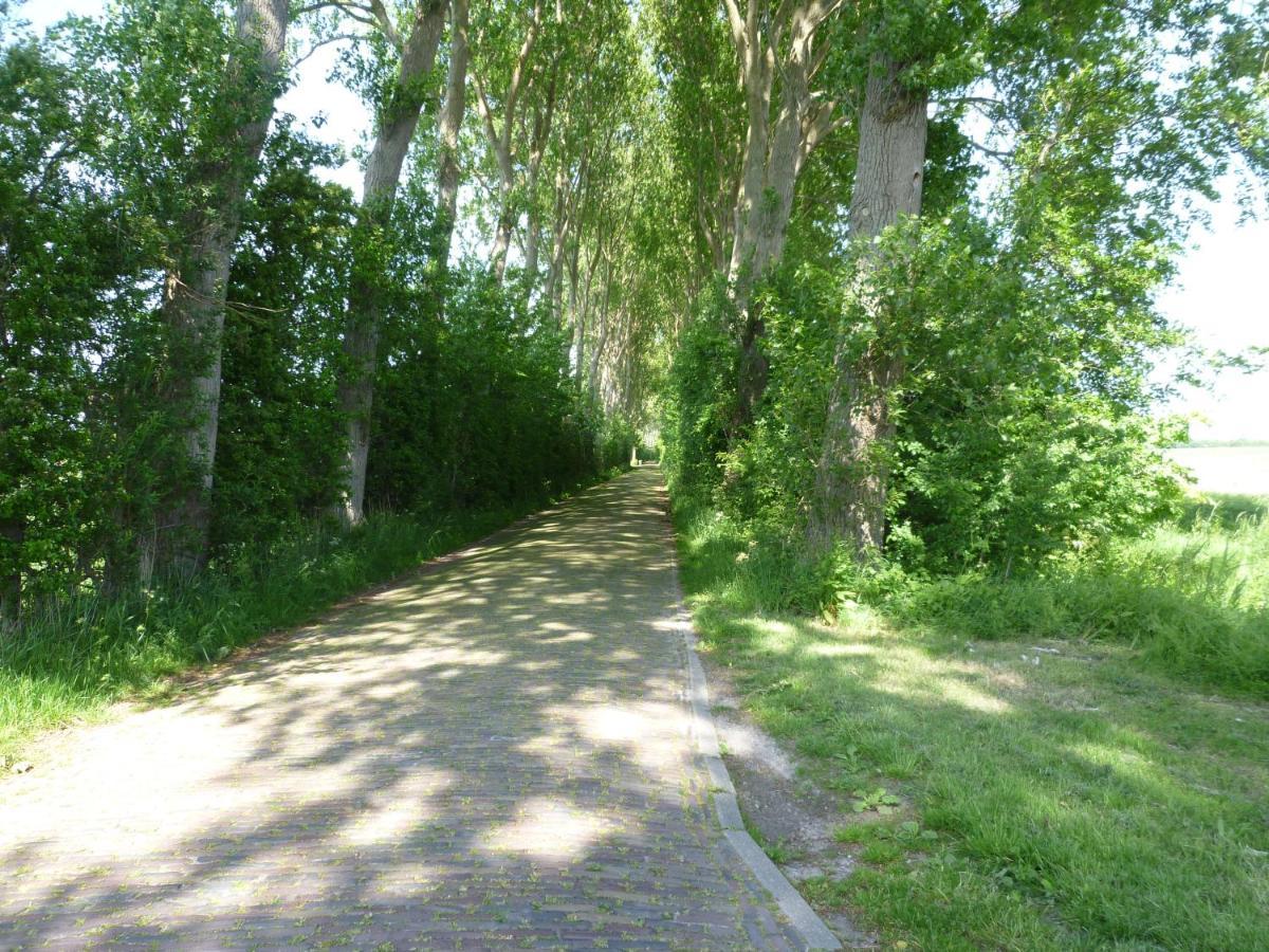 Vakantiewoning Domburg Do31 Kültér fotó